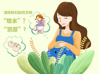 準(zhǔn)媽媽們?nèi)绾畏直妗捌扑边€是“漏尿”？