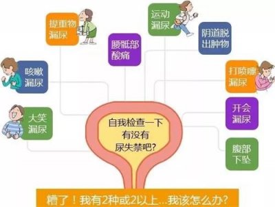 盆底超聲，讓難言之隱不再難查！
